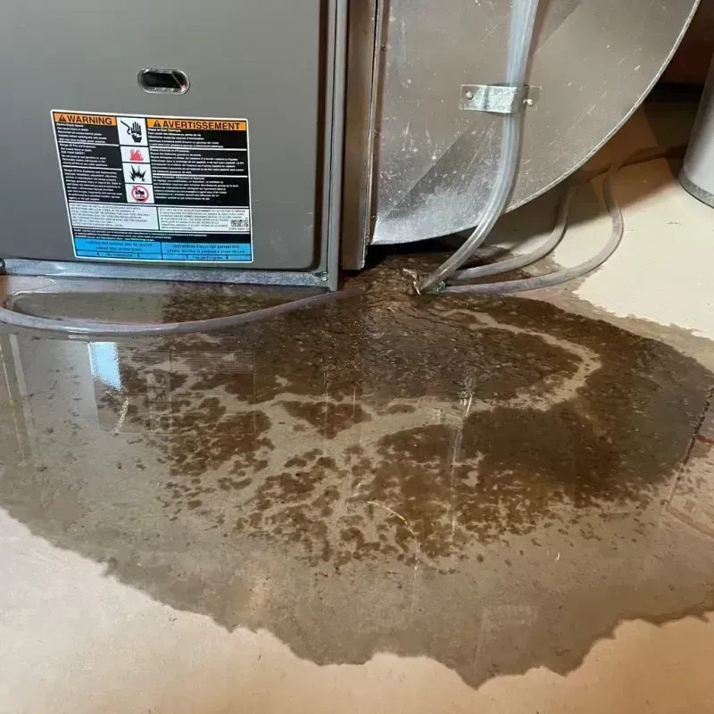 Appliance Leak Cleanup in Warrenton, MO